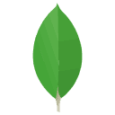 Compétences : MongoDB